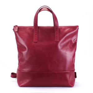 Priyan Convertible Bag